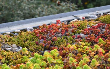 the cost of Pluckley Thorne green roof installation