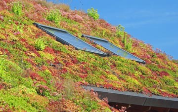 Pluckley Thorne living roof systems